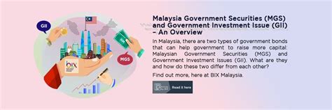 malaysian government investment issues